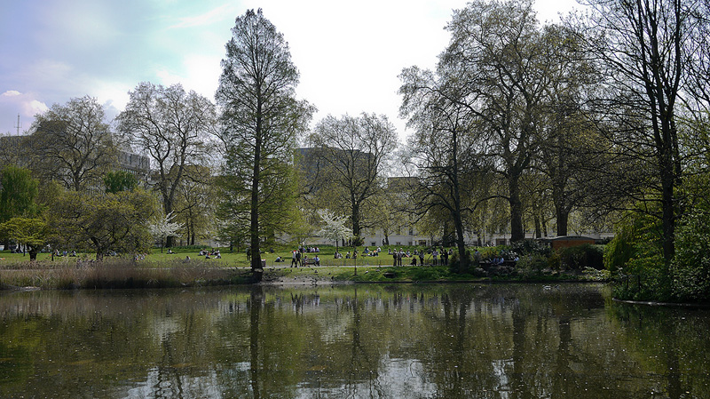 LUNGS: London's Greenspaces | Tracey Fahy